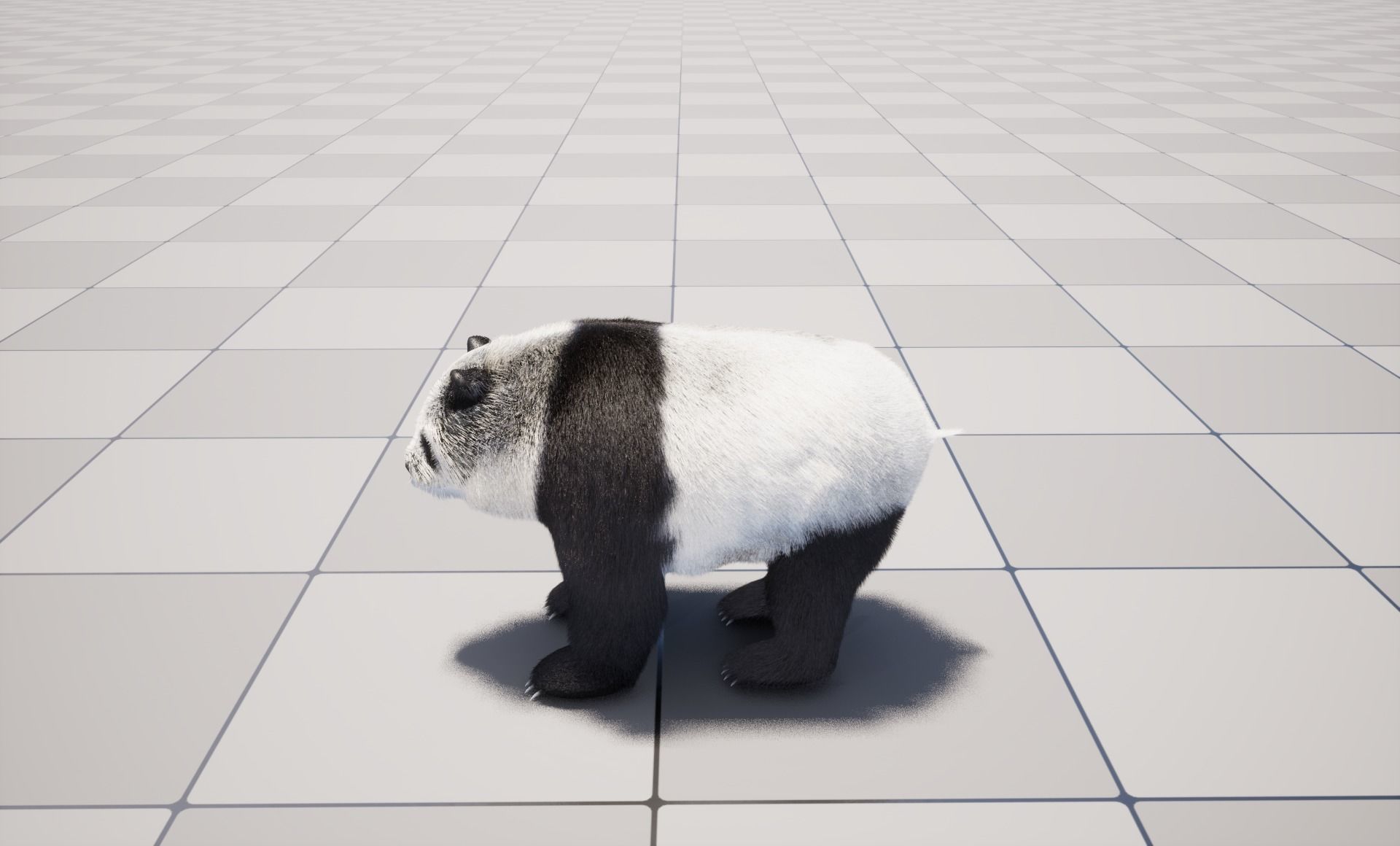 UE5 Giant Panda Rigged Fur Low-poly 3D model_3