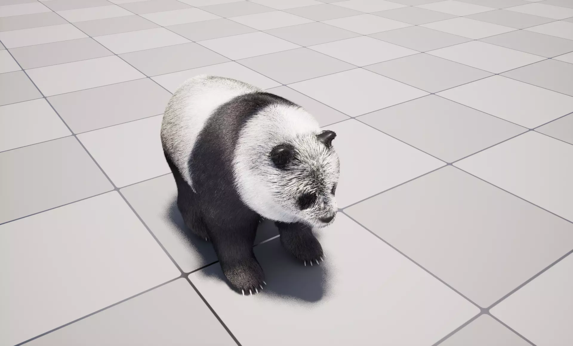 UE5 Giant Panda Rigged Fur Low-poly 3D model_0
