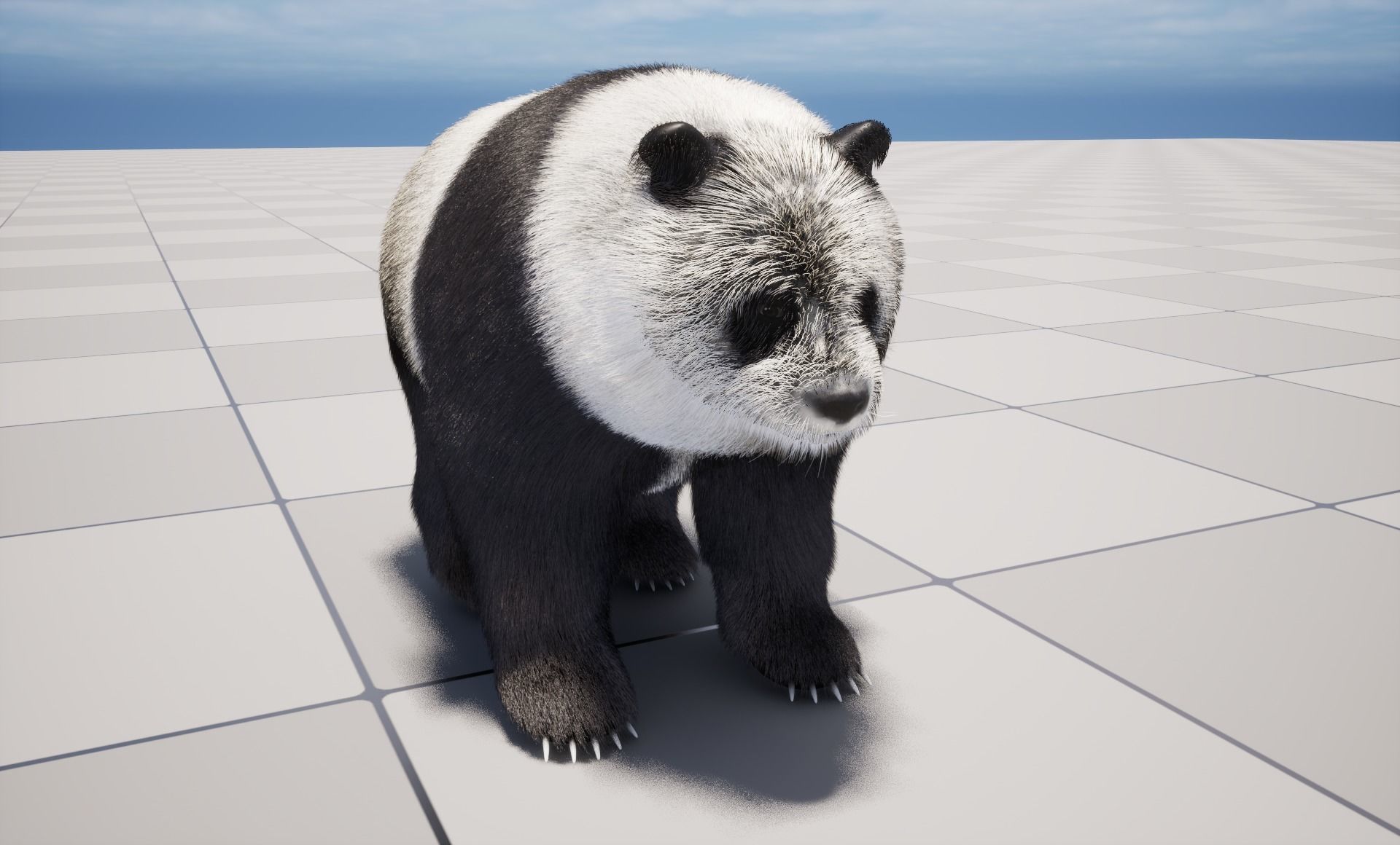 UE5 Giant Panda Rigged Fur Low-poly 3D model_8