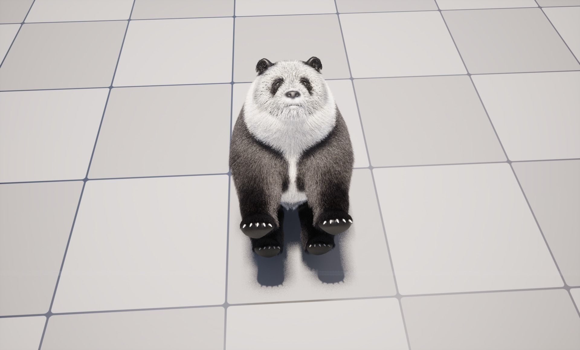 UE5 Giant Panda Rigged Fur Low-poly 3D model_12