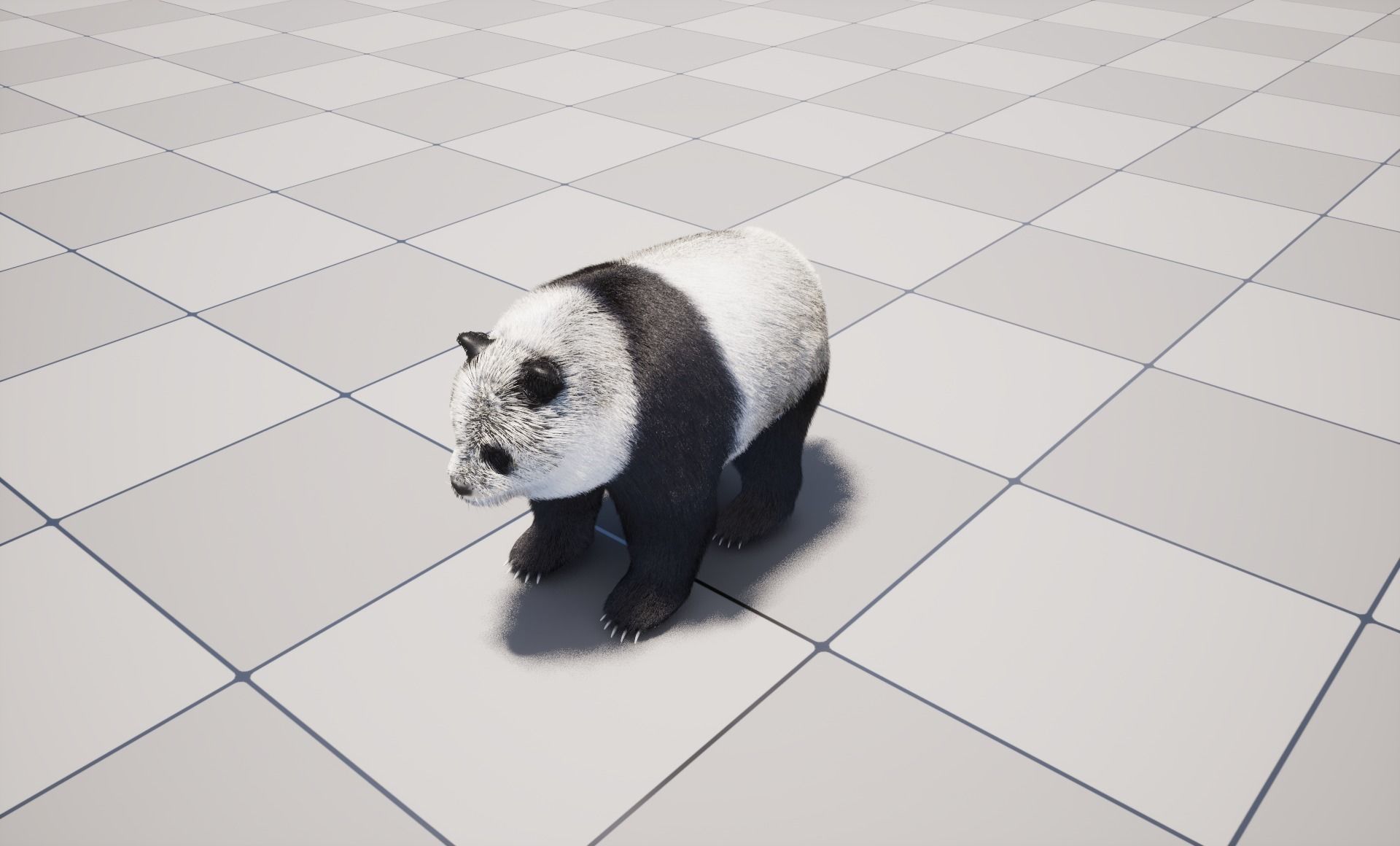 UE5 Giant Panda Rigged Fur Low-poly 3D model_2