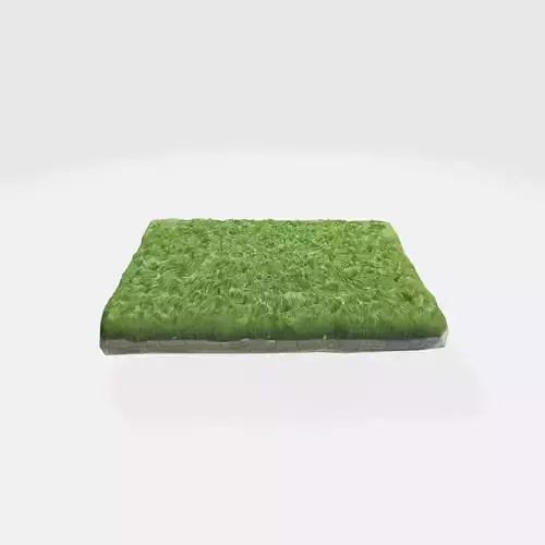 grassy area with a rectangular shape