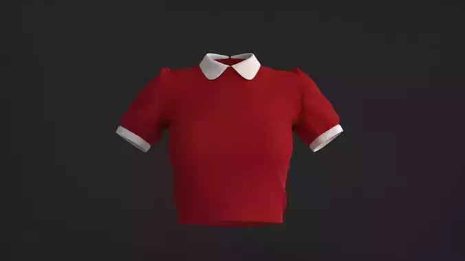Collar Top 3D Model