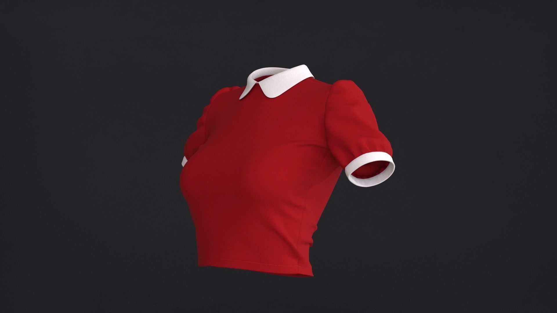 Collar Top 3D Model 3D model_1