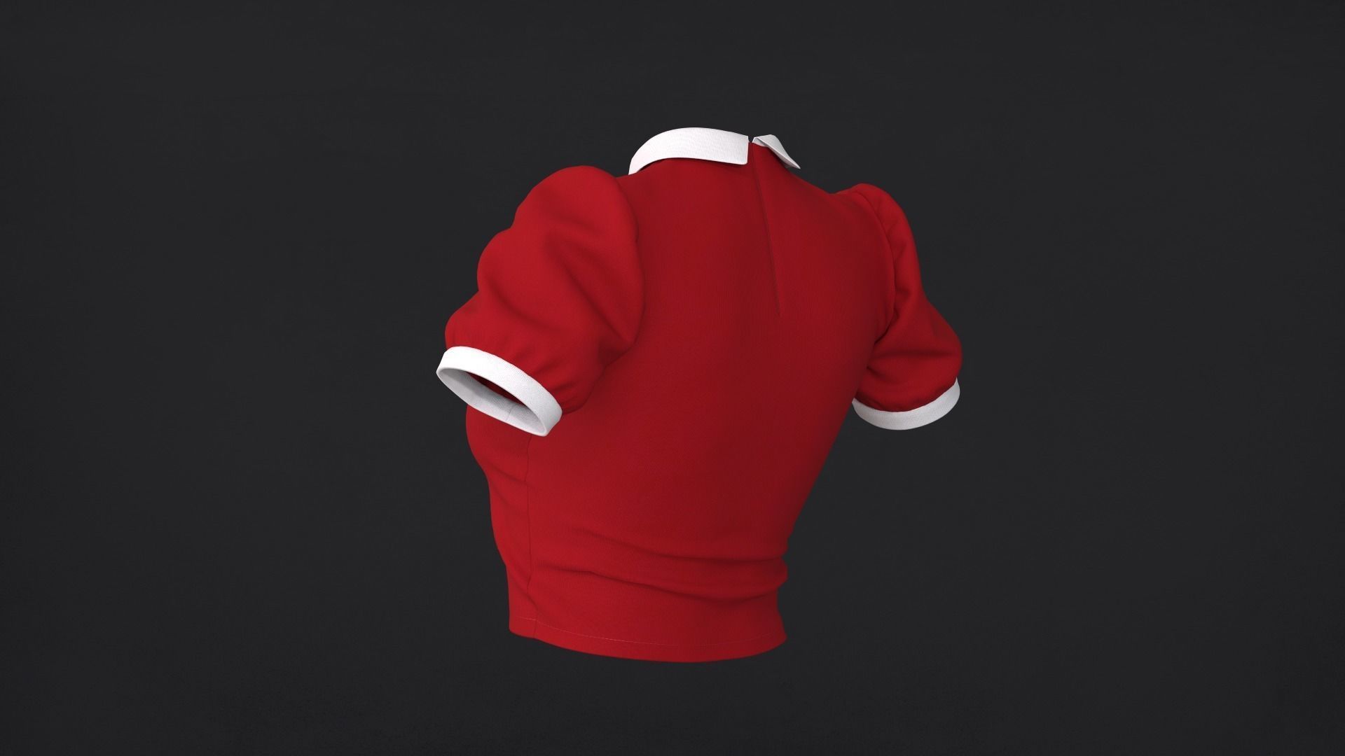 Collar Top 3D Model 3D model_3