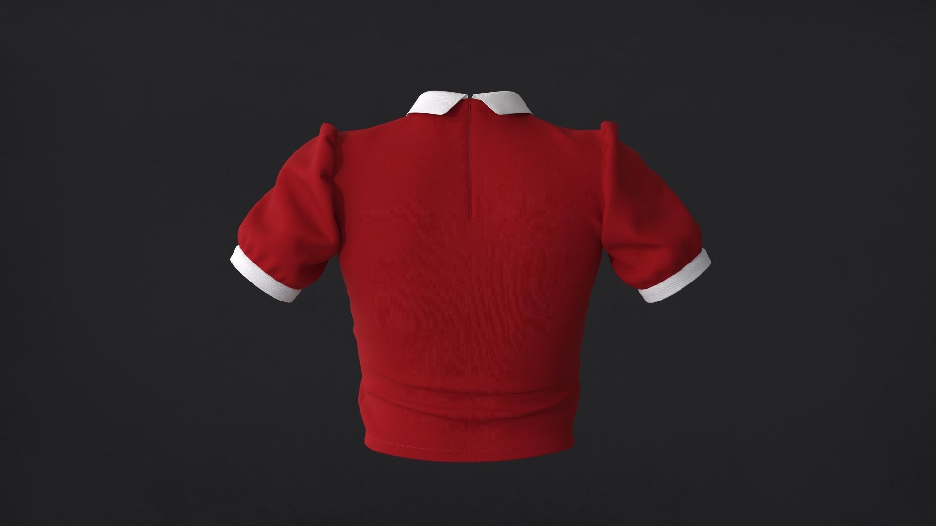 Collar Top 3D Model 3D model_4