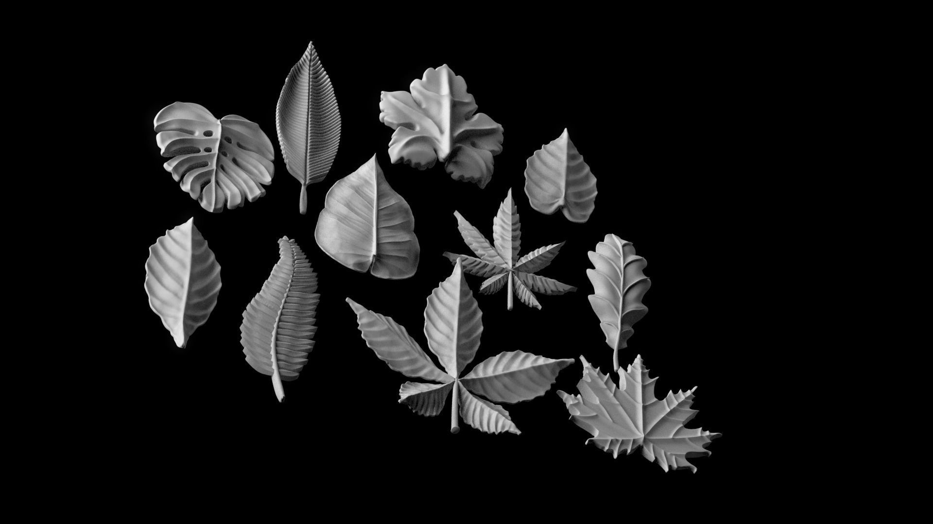 leaves 3D print model_4