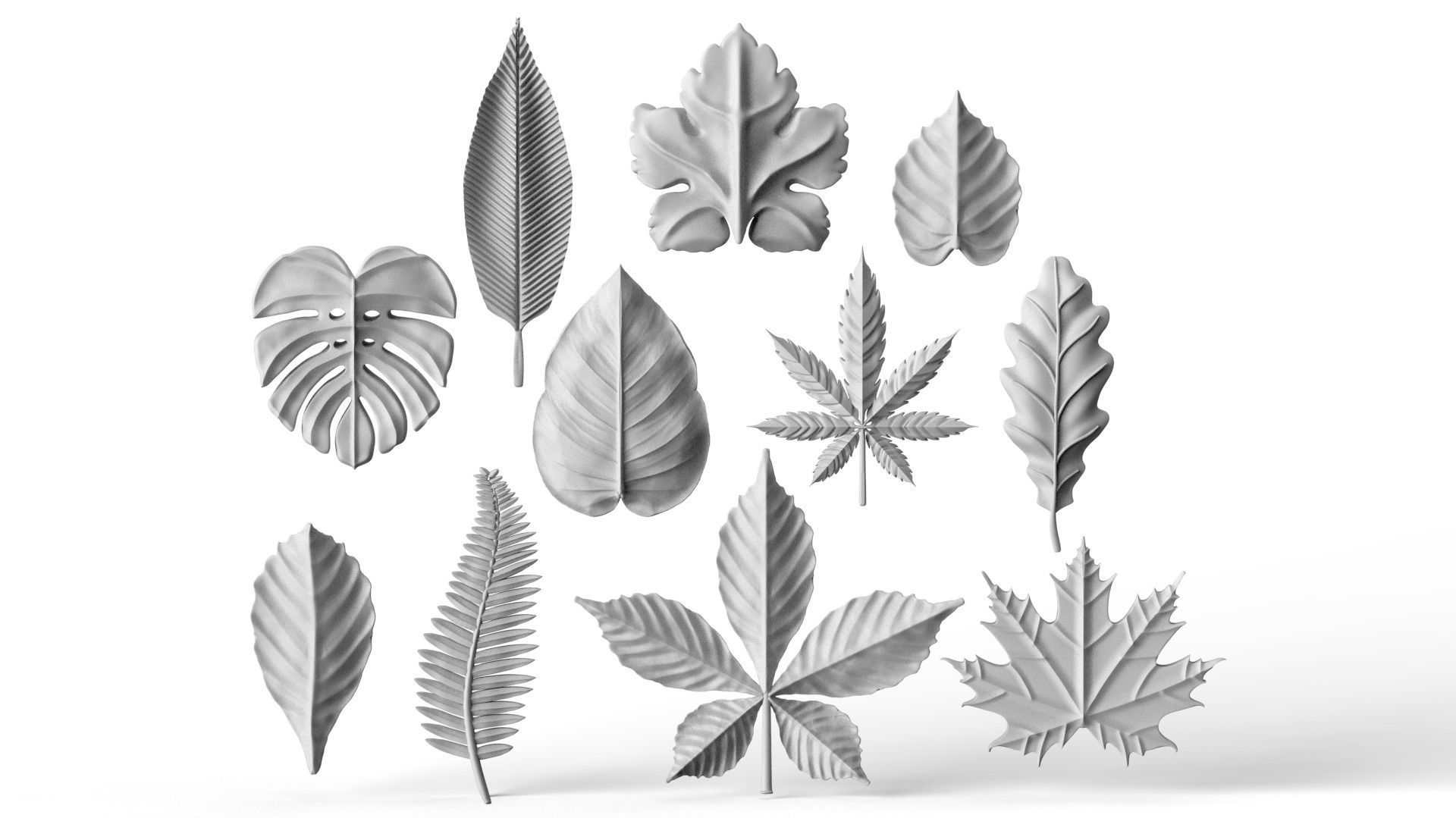 leaves 3D print model_52