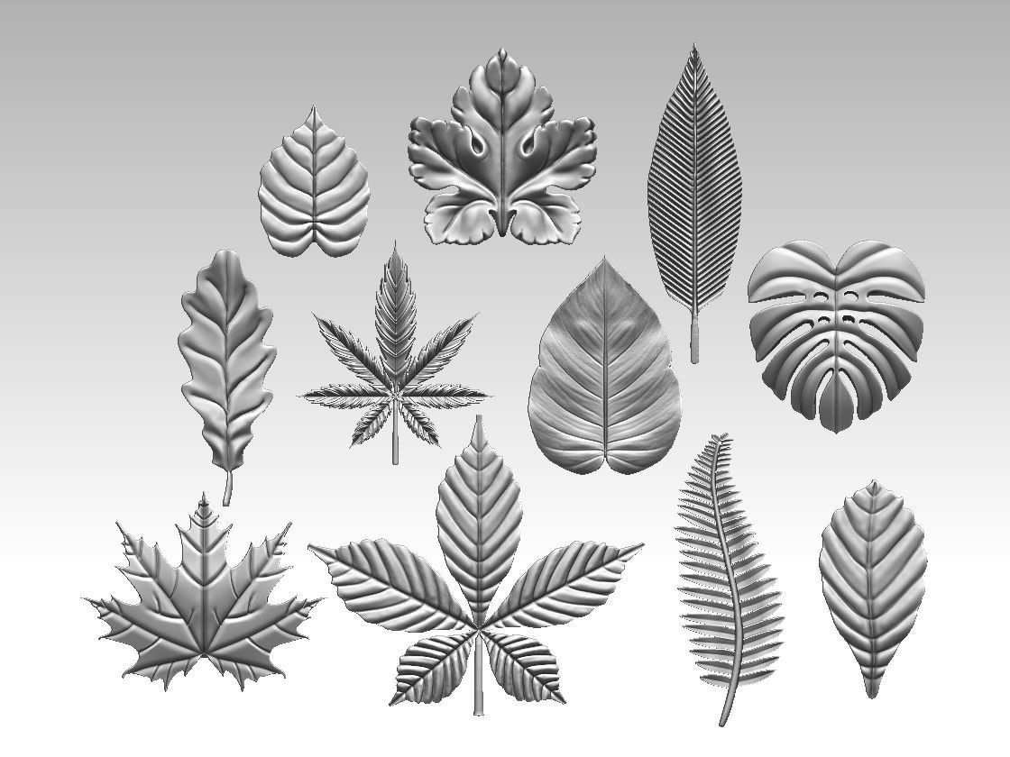 leaves 3D print model_25
