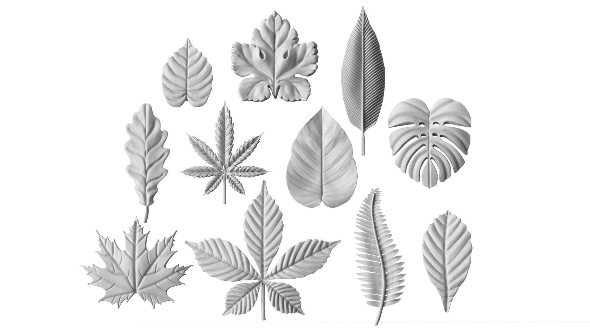 leaves 3D print model_37