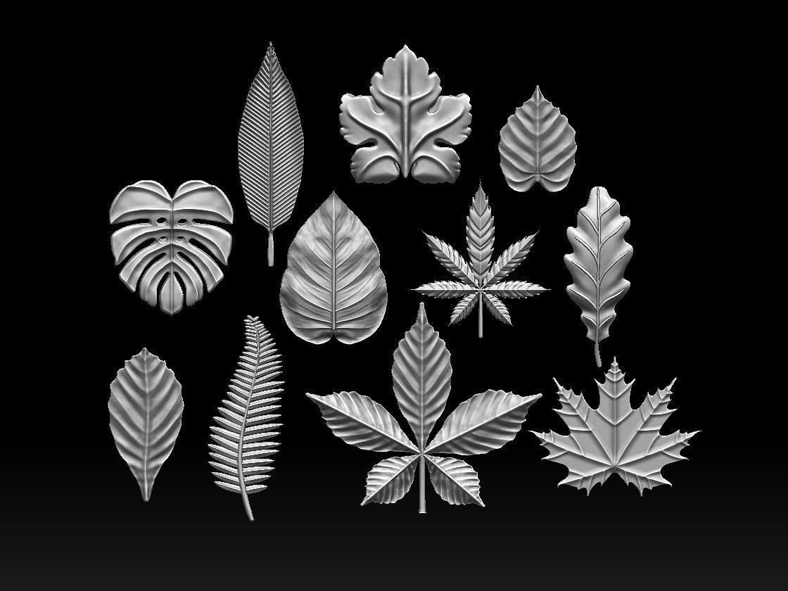 leaves 3D print model_28