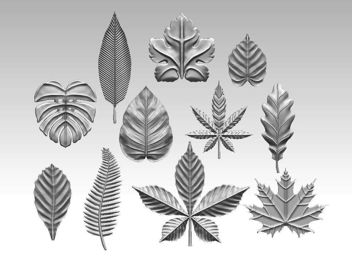 leaves 3D print model_16