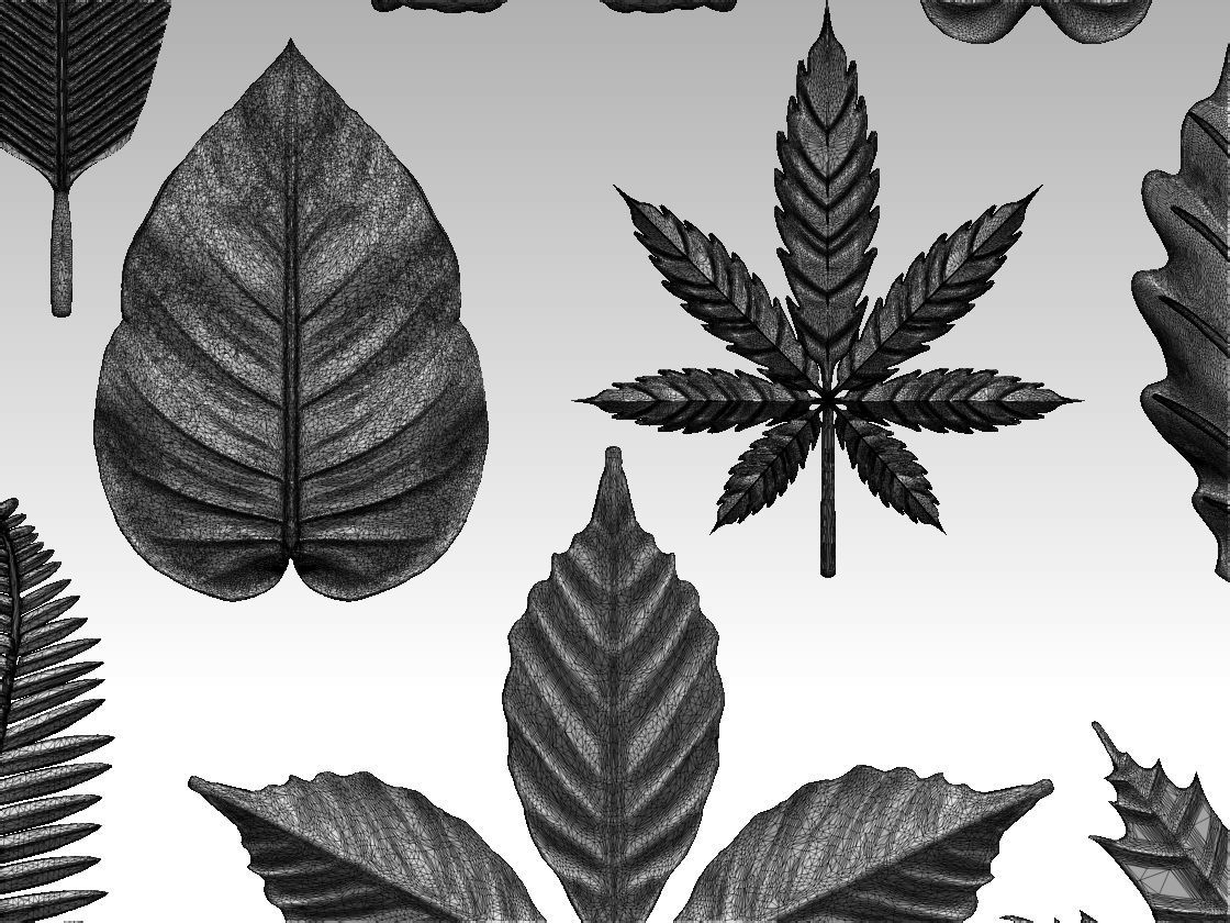 leaves 3D print model_29