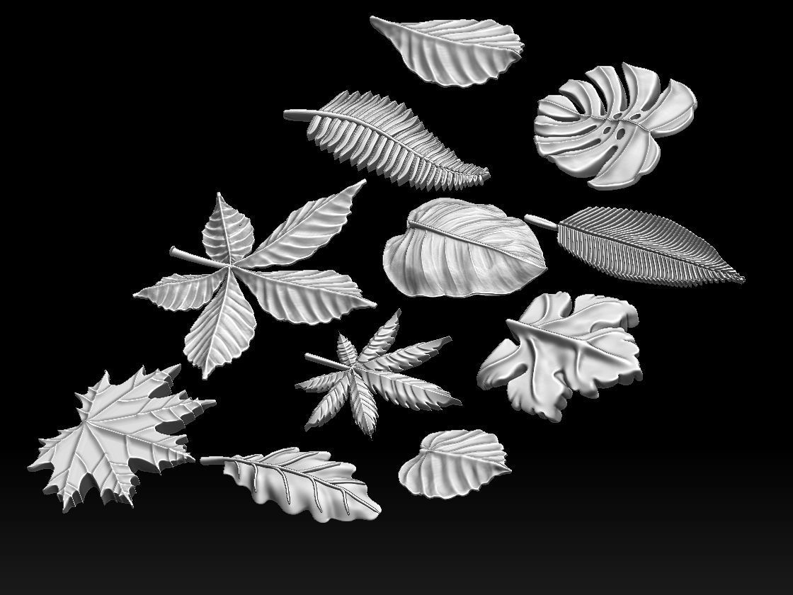 leaves 3D print model_23