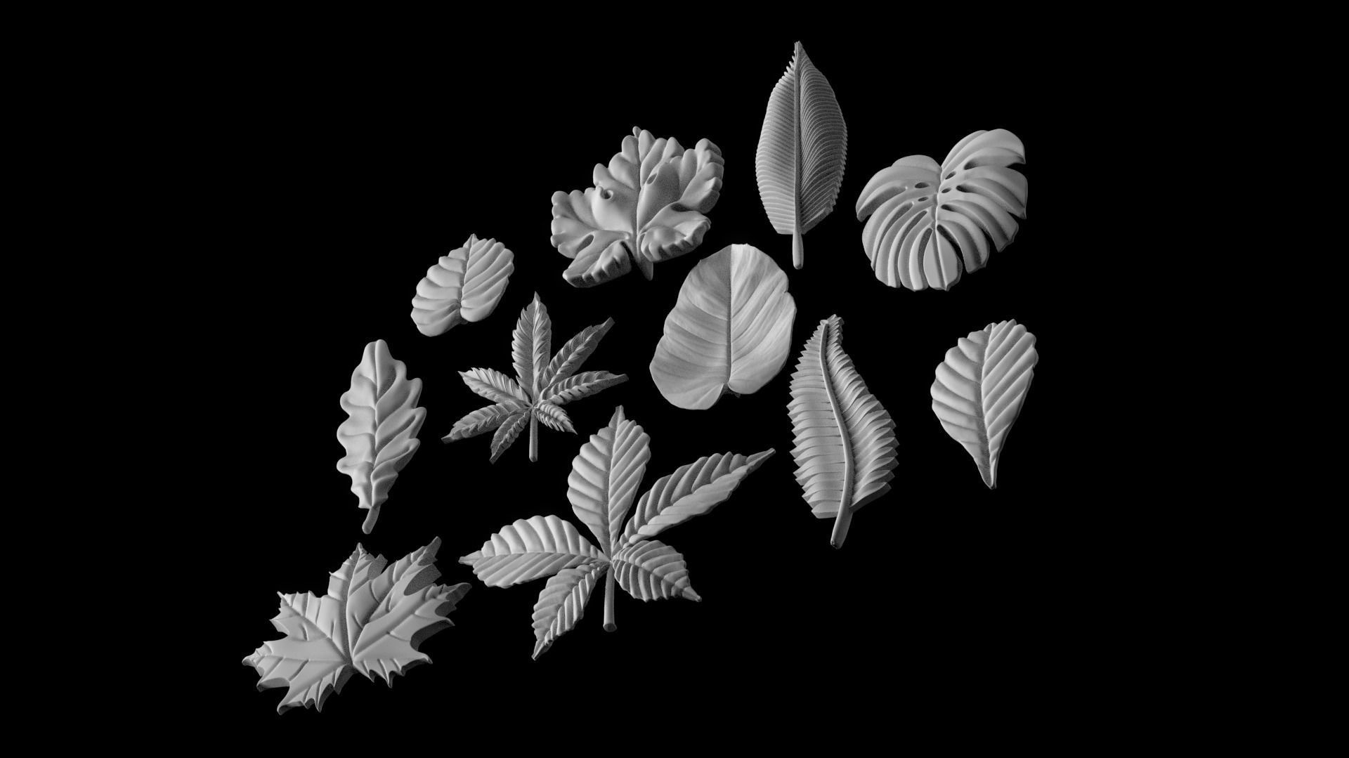 leaves 3D print model_45