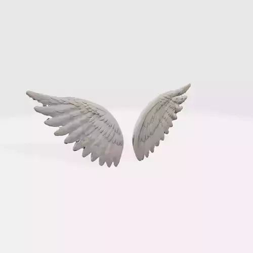 A pair of large detailed angel wings