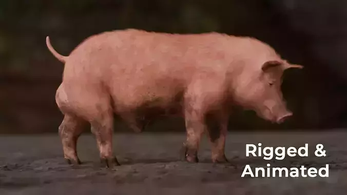 Pig Rigged and Animated 3D Model 3D model