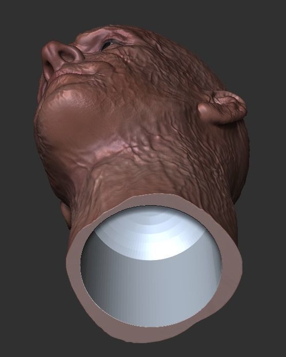 Ryan Reynolds - DEADPOOL custom headsculpt  3D print model_4