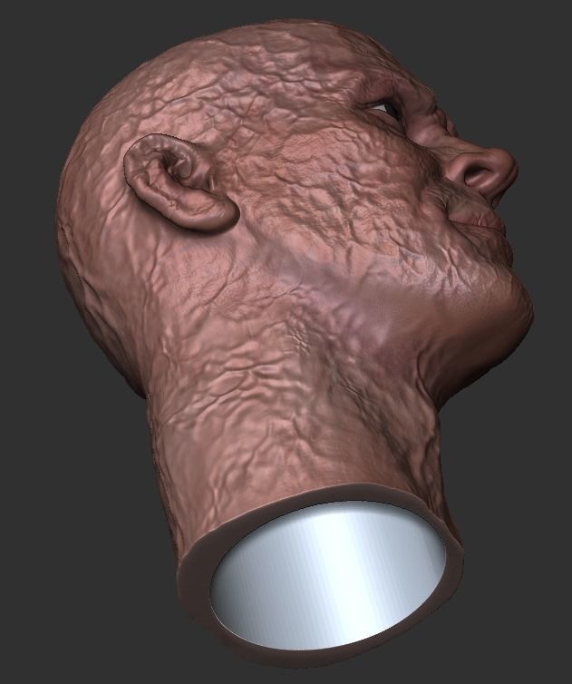 Ryan Reynolds - DEADPOOL custom headsculpt  3D print model_5