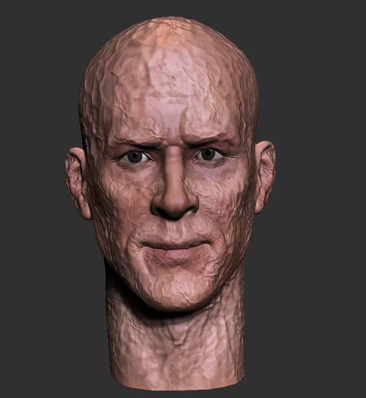 Ryan Reynolds - DEADPOOL custom headsculpt  3D print model_0