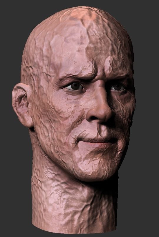 Ryan Reynolds - DEADPOOL custom headsculpt  3D print model_9