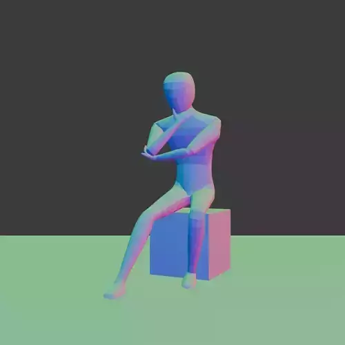 Rigged Low Poly Base Male Character
