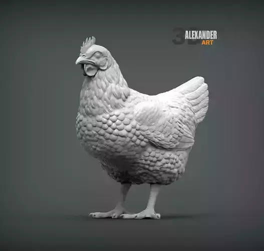 Chicken 3D print model