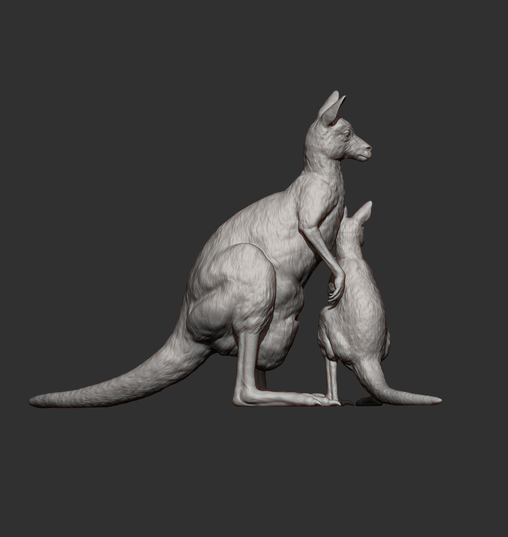 Female and baby kangaroo 3D print model_8