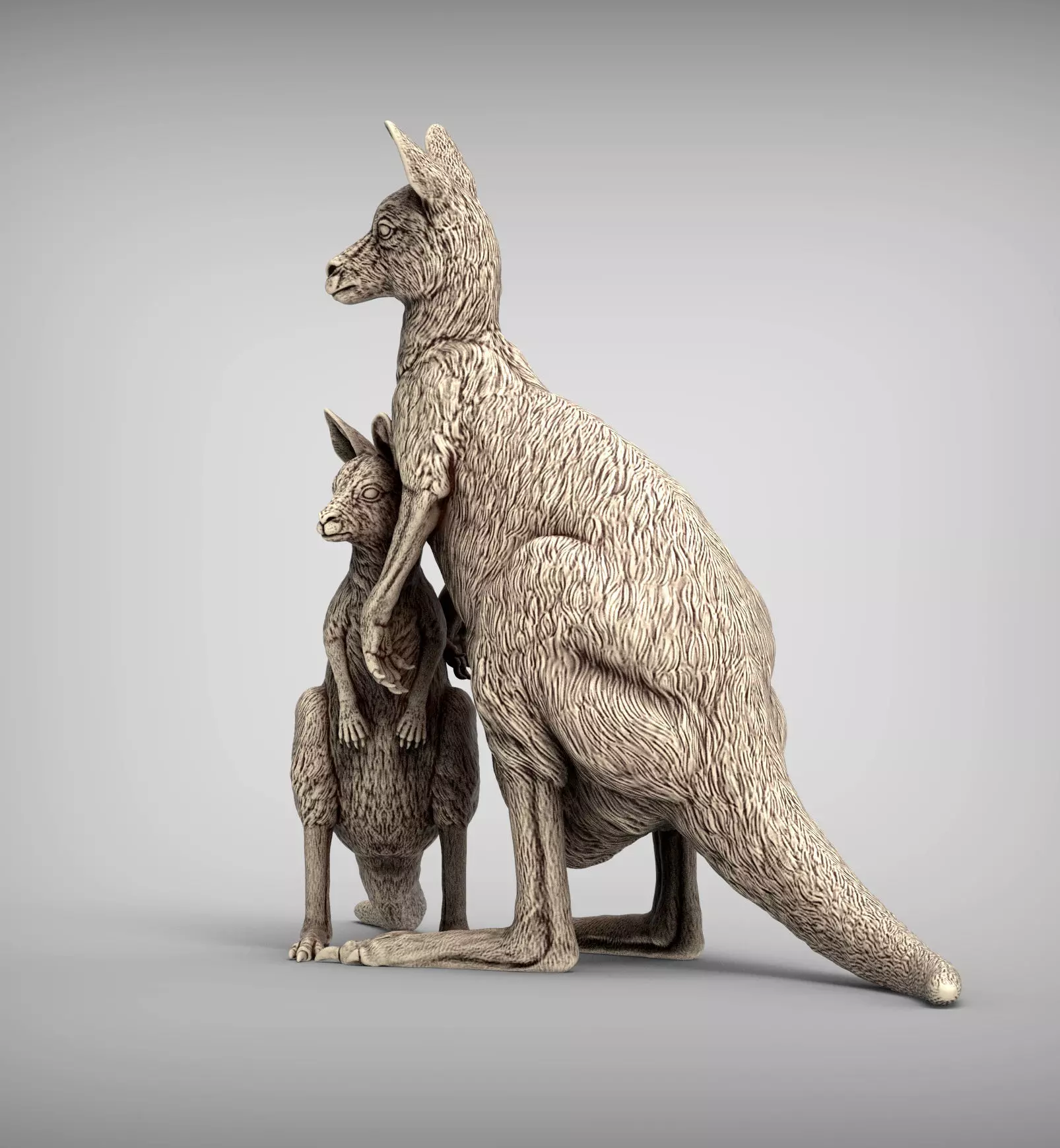 Female and baby kangaroo 3D print model_0