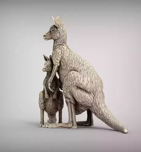 Female and baby kangaroo