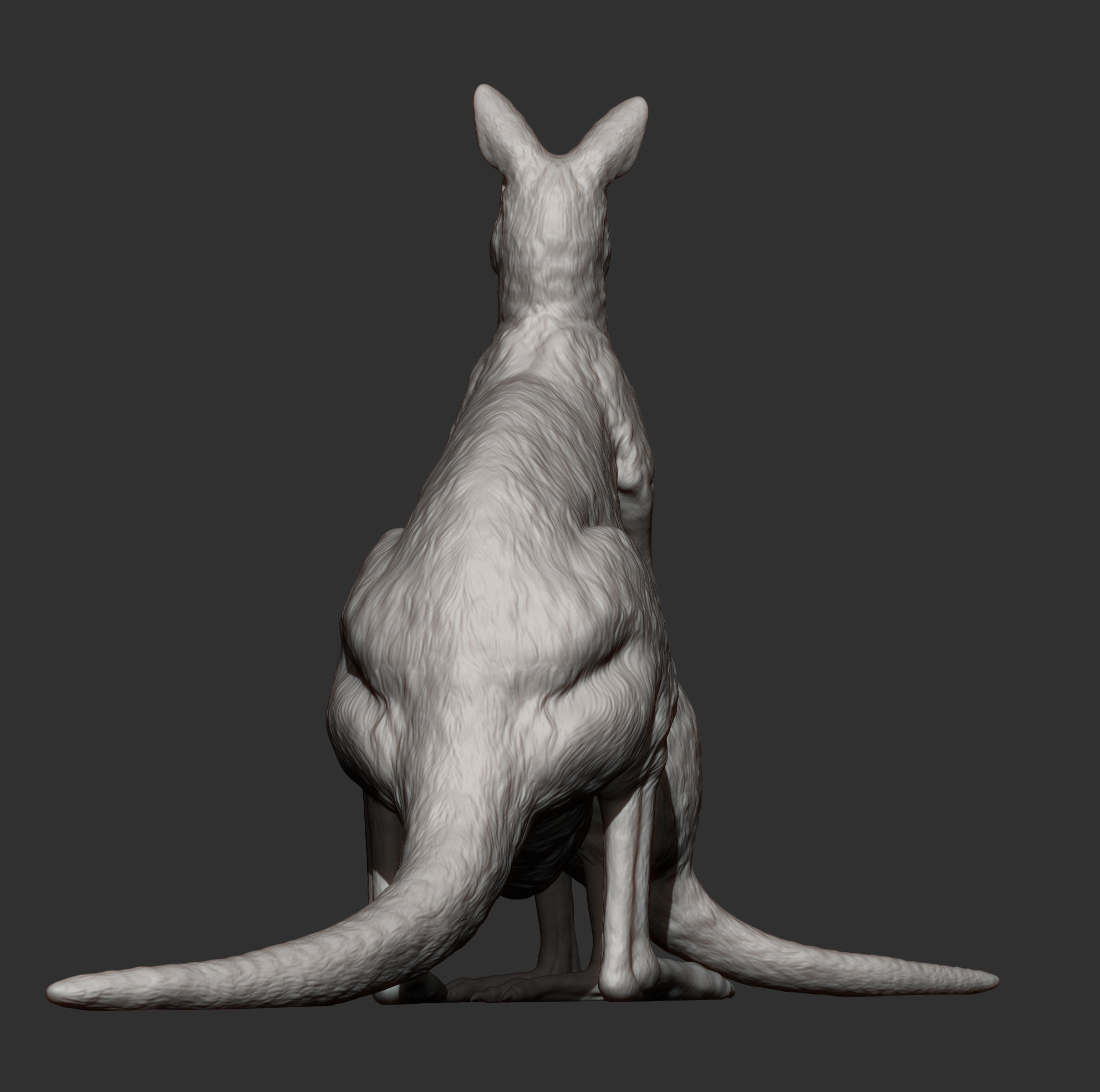 Female and baby kangaroo 3D print model_9