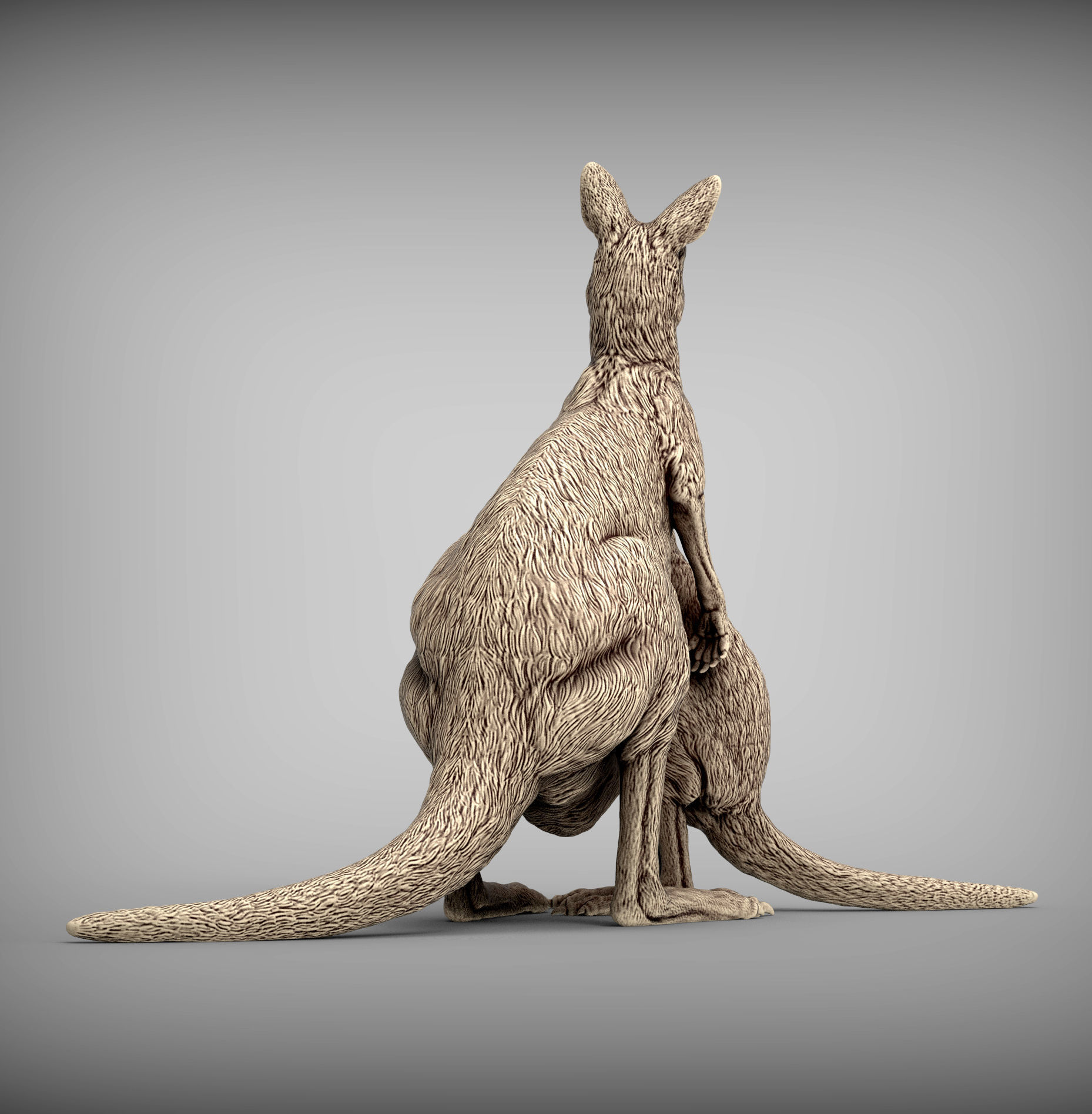Female and baby kangaroo 3D print model_4