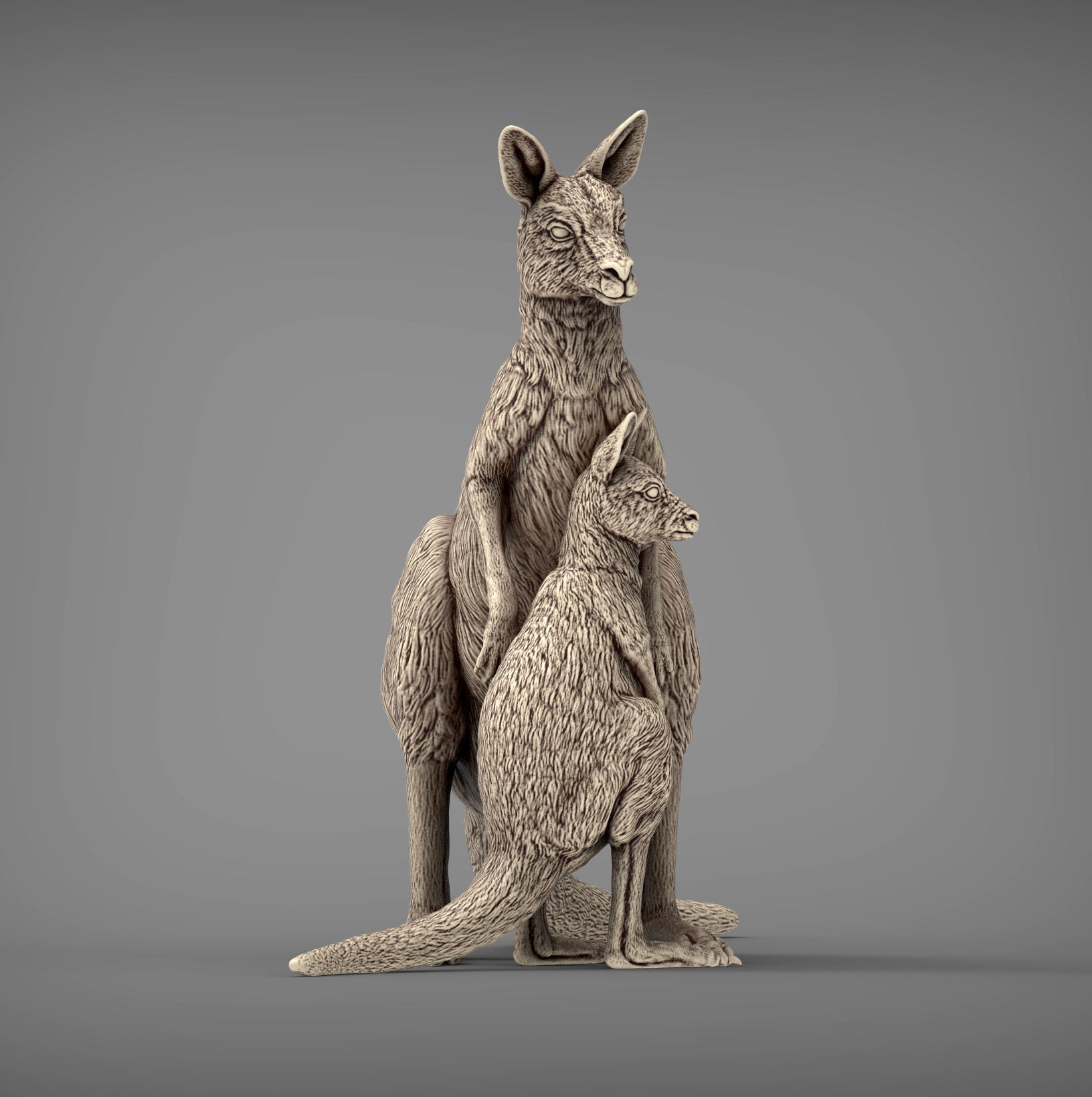 Female and baby kangaroo 3D print model_2