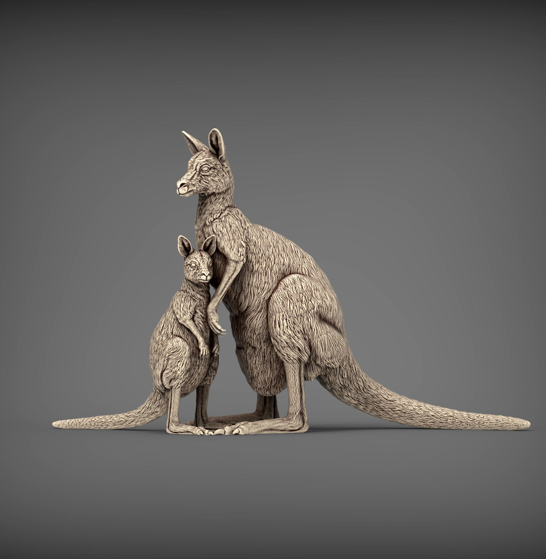 Female and baby kangaroo 3D print model_1