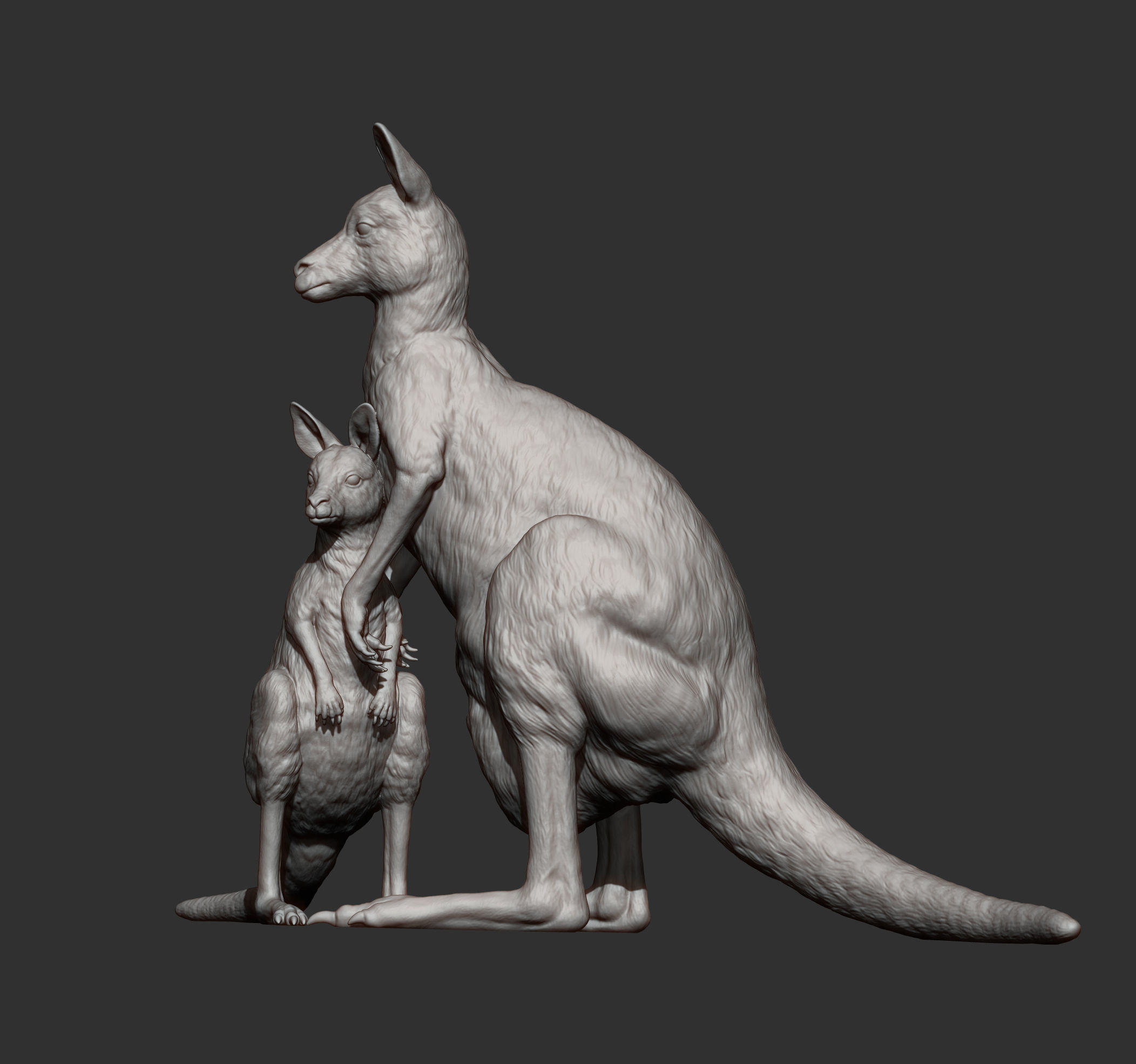 Female and baby kangaroo 3D print model_6