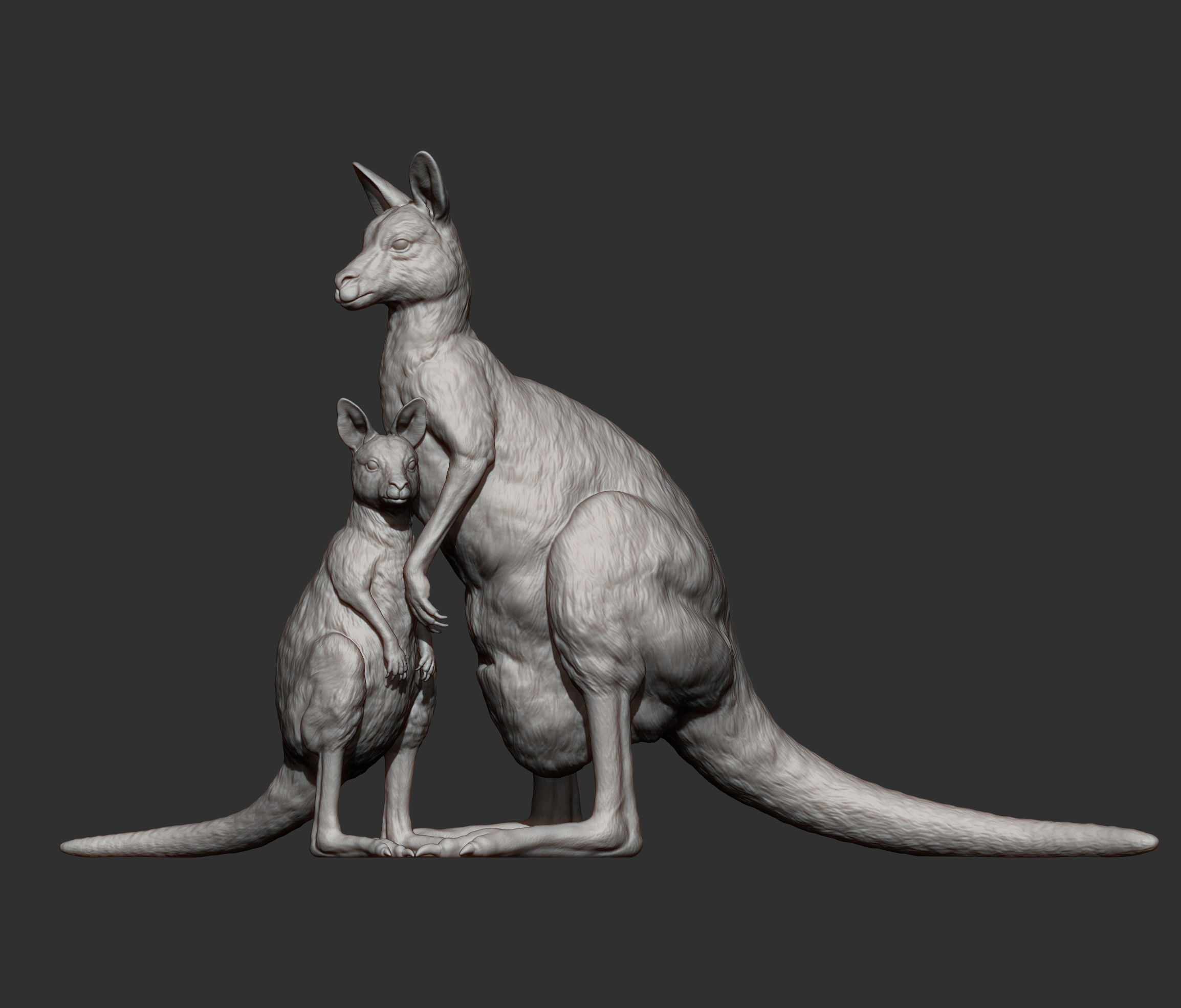 Female and baby kangaroo 3D print model_7