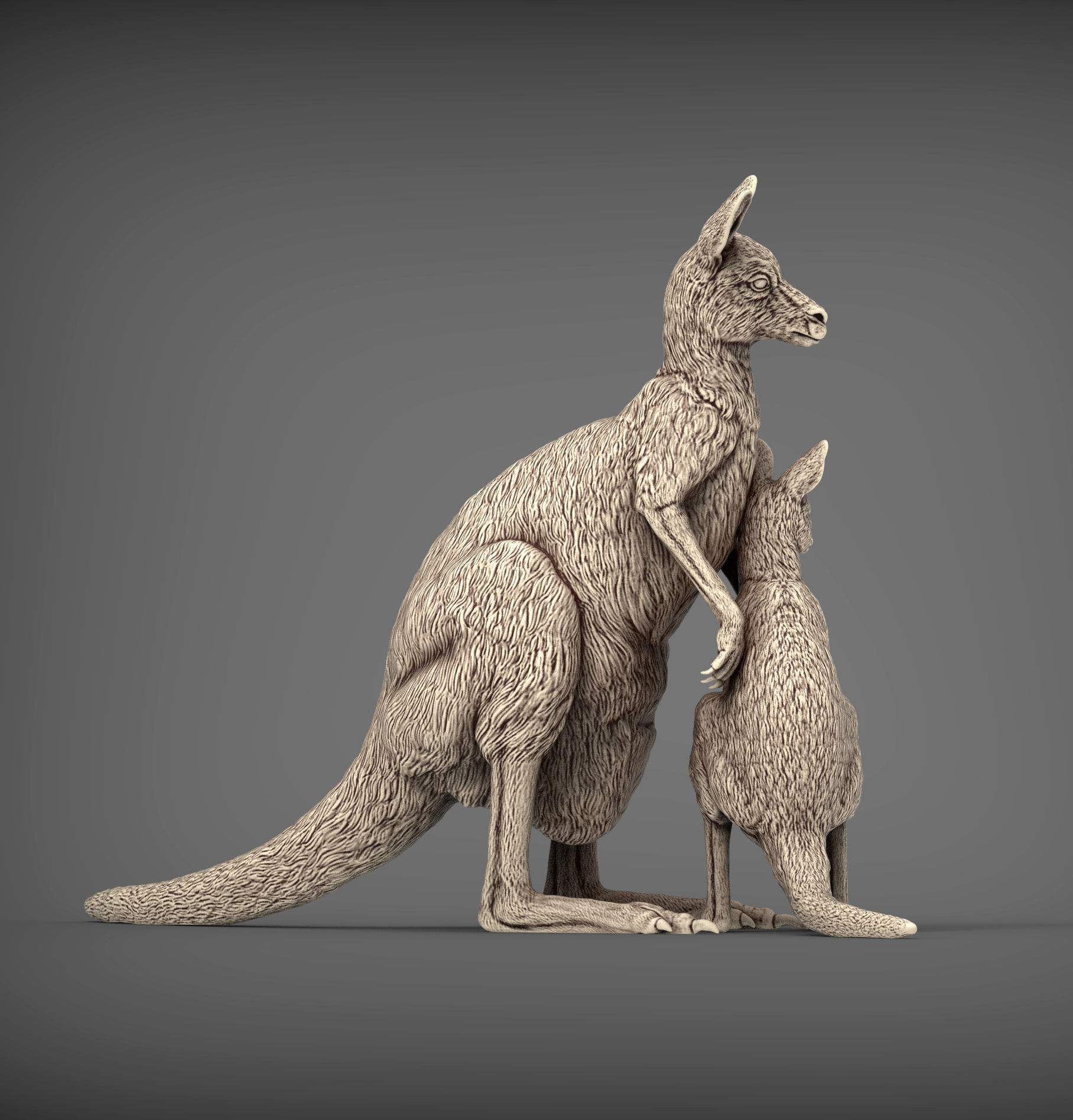 Female and baby kangaroo 3D print model_3