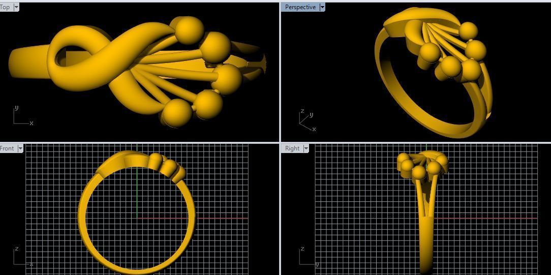 plain ring 3dm file 3D print model_1