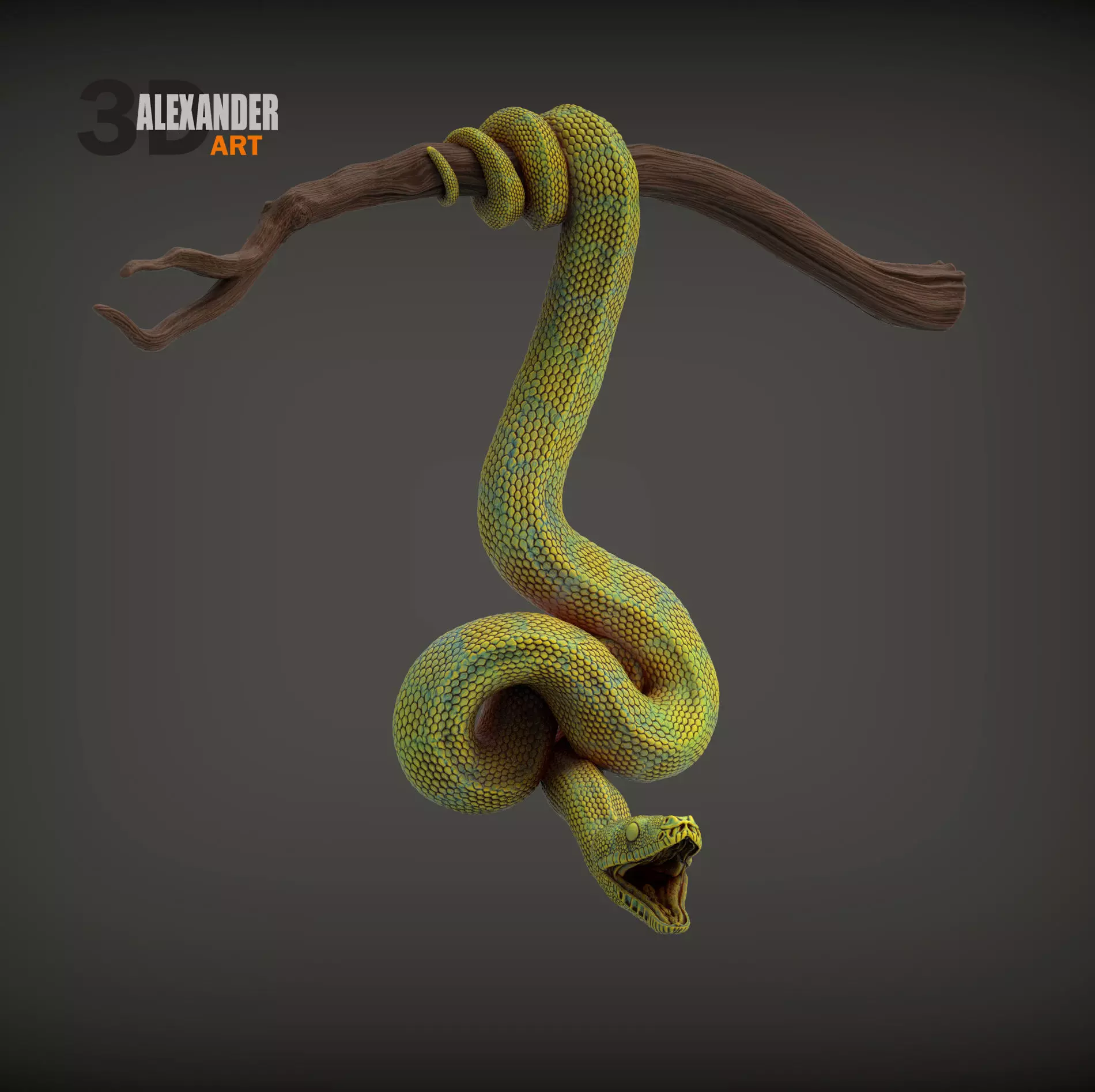 Green tree python 3D print model