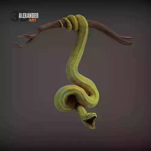 Green tree python 3D print model
