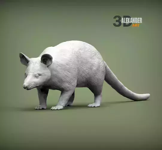 Opossum 3D print model