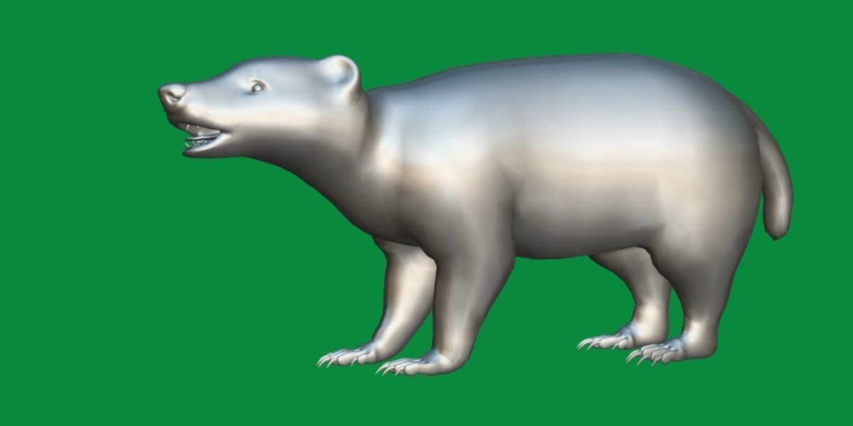 European Badger Low-poly 3D model_7