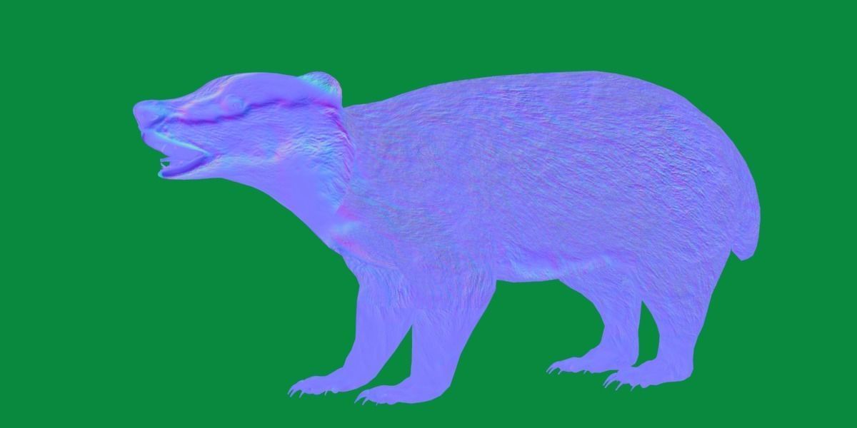 European Badger Low-poly 3D model_23