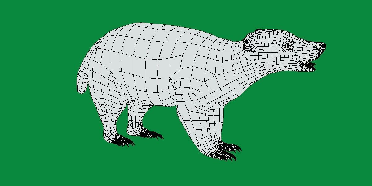European Badger Low-poly 3D model_10