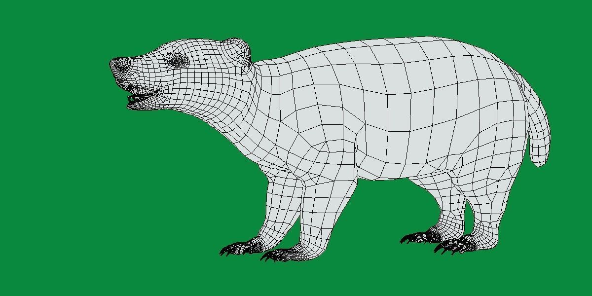 European Badger Low-poly 3D model_9