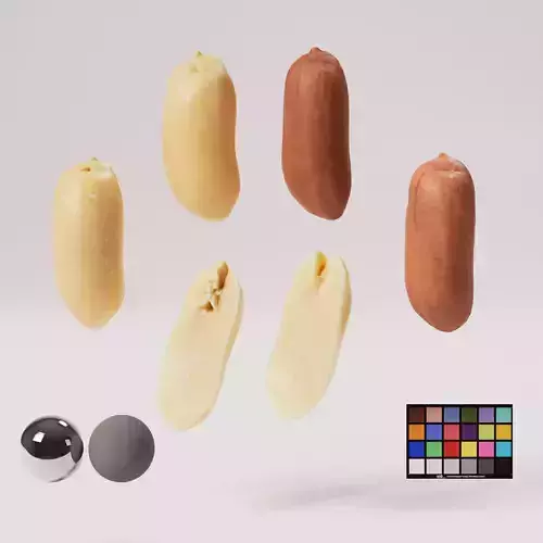 Peanut - Kernels Low-poly 3D model