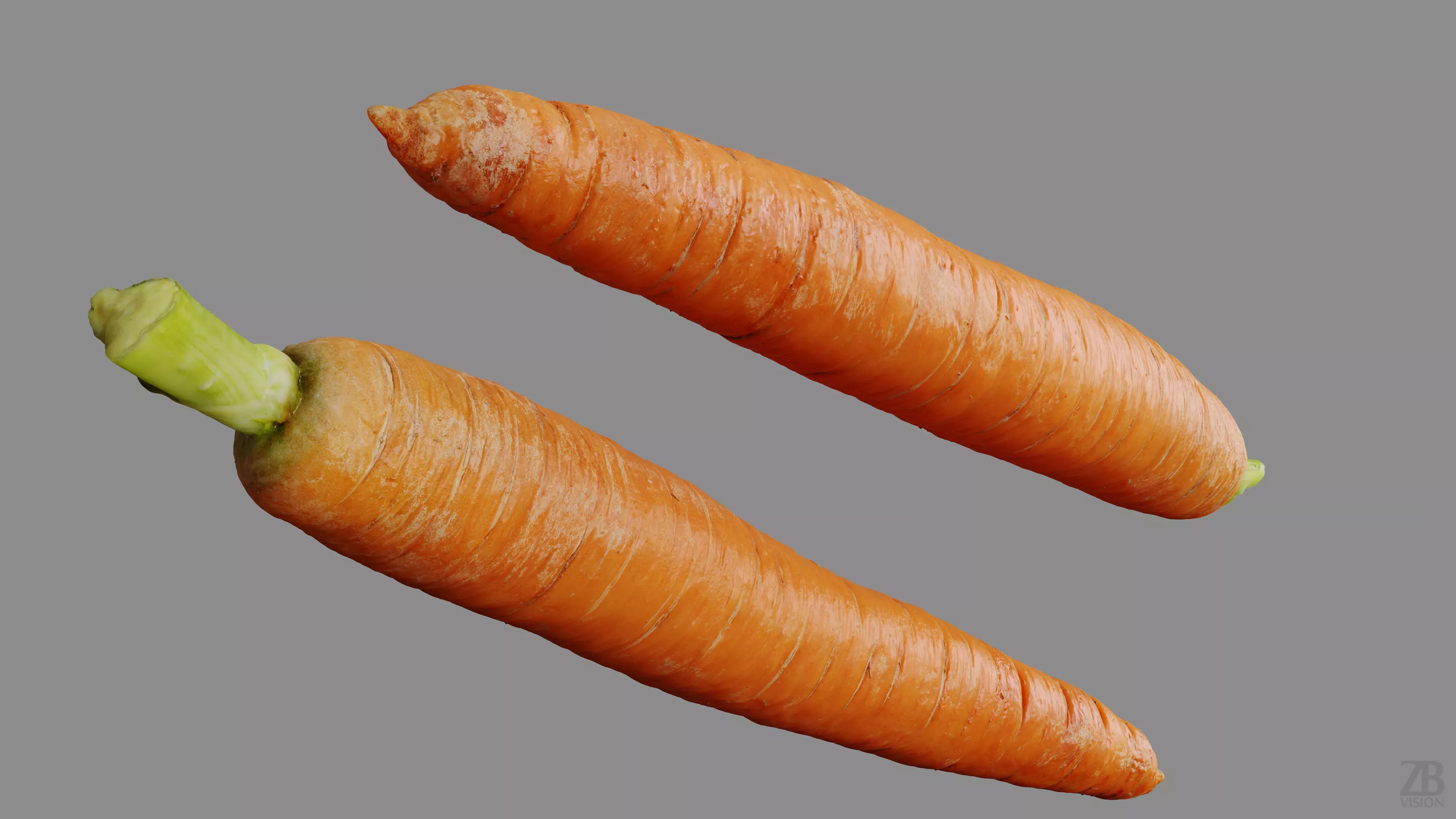 Carrot 3D model_9