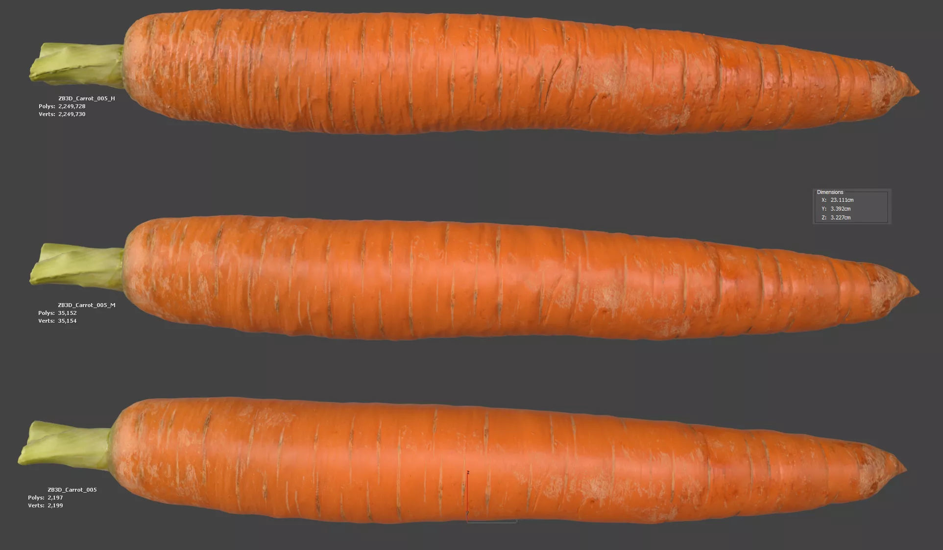 Carrot 3D model_5