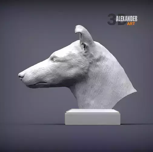 smooth coat collie bust
