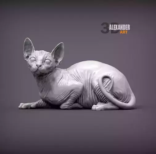 Sphynx cat lying